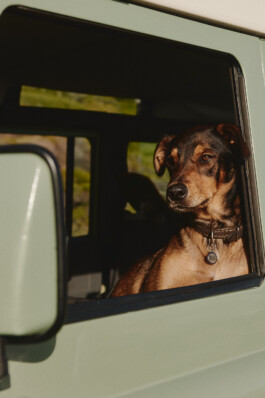 LAURA NENZ — Photography & Visual Storytelling