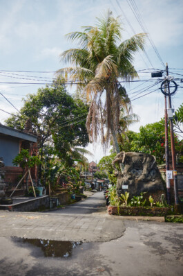 LAURA NENZ — Photography & Visual Storytelling