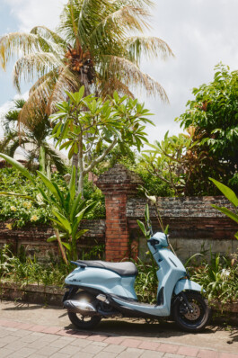 LAURA NENZ — Photography & Visual Storytelling