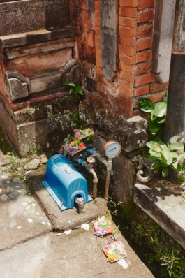 LAURA NENZ — Photography & Visual Storytelling