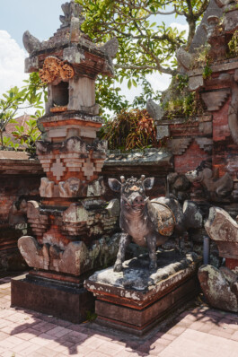 LAURA NENZ — Photography & Visual Storytelling