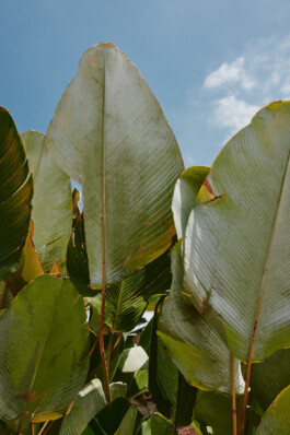 LAURA NENZ — Photography & Visual Storytelling