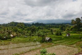 LAURA NENZ — Photography & Visual Storytelling