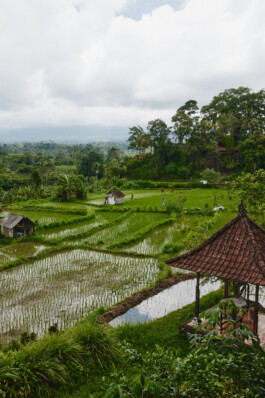 LAURA NENZ — Photography & Visual Storytelling