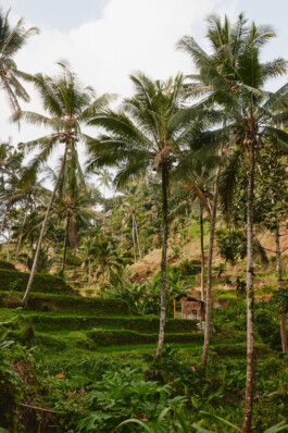 LAURA NENZ — Photography & Visual Storytelling