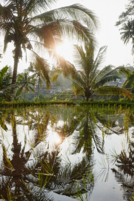 LAURA NENZ — Photography & Visual Storytelling