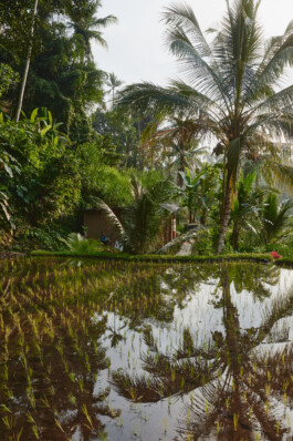 LAURA NENZ — Photography & Visual Storytelling