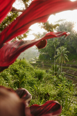 LAURA NENZ — Photography & Visual Storytelling