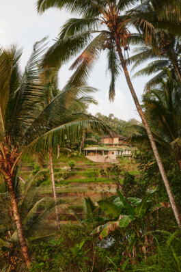 LAURA NENZ — Photography & Visual Storytelling