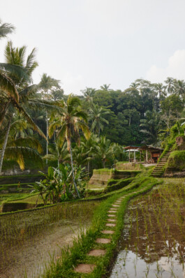 LAURA NENZ — Photography & Visual Storytelling