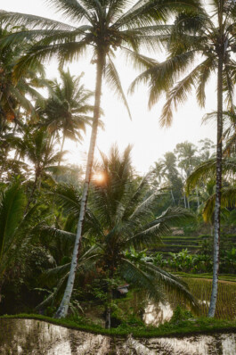 LAURA NENZ — Photography & Visual Storytelling