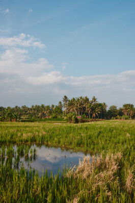 LAURA NENZ — Photography & Visual Storytelling