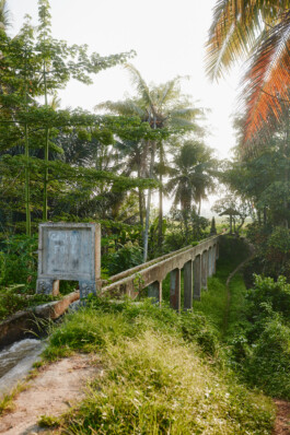 LAURA NENZ — Photography & Visual Storytelling