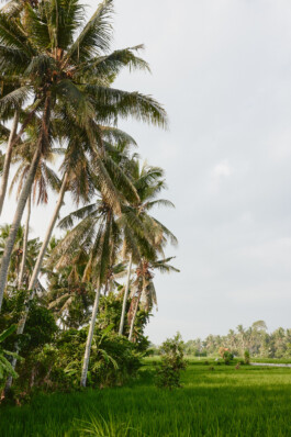 LAURA NENZ — Photography & Visual Storytelling