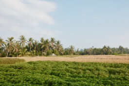 LAURA NENZ — Photography & Visual Storytelling