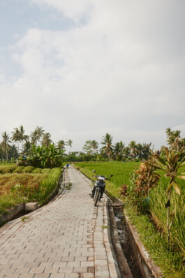 LAURA NENZ — Photography & Visual Storytelling