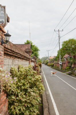 LAURA NENZ — Photography & Visual Storytelling