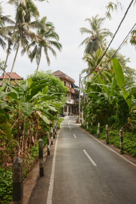 LAURA NENZ — Photography & Visual Storytelling