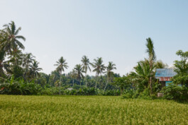 LAURA NENZ — Photography & Visual Storytelling