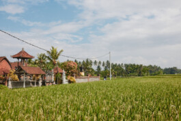 LAURA NENZ — Photography & Visual Storytelling