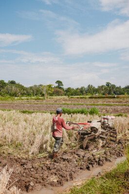 LAURA NENZ — Photography & Visual Storytelling