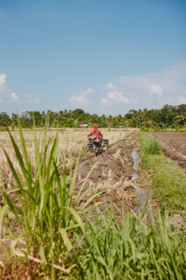 LAURA NENZ — Photography & Visual Storytelling