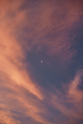 LAURA NENZ — Photography & Visual Storytelling