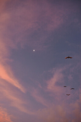 LAURA NENZ — Photography & Visual Storytelling