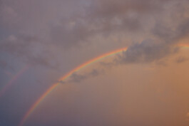 LAURA NENZ — Photography & Visual Storytelling