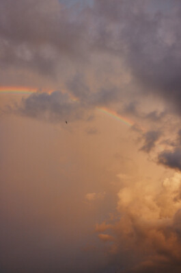 LAURA NENZ — Photography & Visual Storytelling