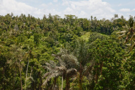 LAURA NENZ — Photography & Visual Storytelling