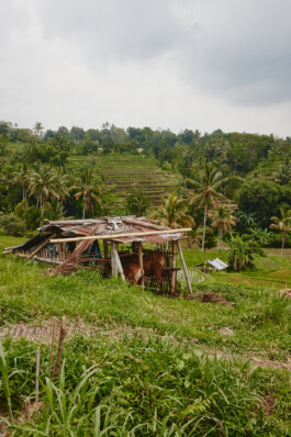 LAURA NENZ — Photography & Visual Storytelling