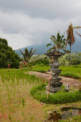 LAURA NENZ — Photography & Visual Storytelling