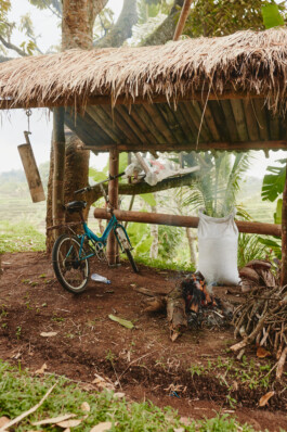 LAURA NENZ — Photography & Visual Storytelling