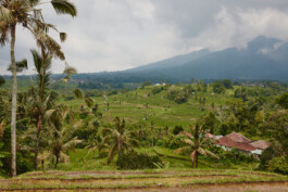 LAURA NENZ — Photography & Visual Storytelling