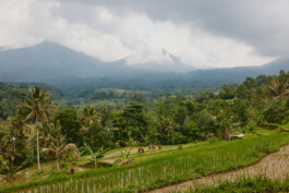 LAURA NENZ — Photography & Visual Storytelling