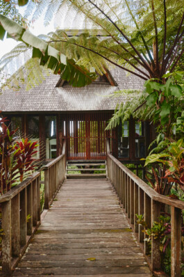 LAURA NENZ — Photography & Visual Storytelling