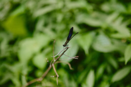 LAURA NENZ — Photography & Visual Storytelling