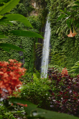 LAURA NENZ — Photography & Visual Storytelling