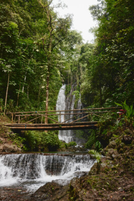 LAURA NENZ — Photography & Visual Storytelling