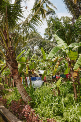 LAURA NENZ — Photography & Visual Storytelling