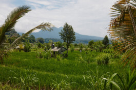 LAURA NENZ — Photography & Visual Storytelling