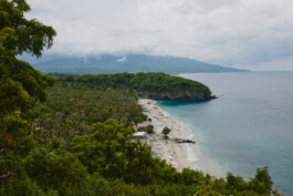 LAURA NENZ — Photography & Visual Storytelling