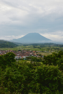 LAURA NENZ — Photography & Visual Storytelling