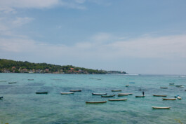 LAURA NENZ — Photography & Visual Storytelling