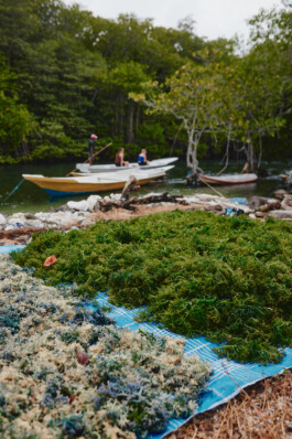 LAURA NENZ — Photography & Visual Storytelling