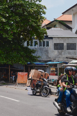 LAURA NENZ — Photography & Visual Storytelling