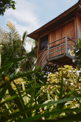 LAURA NENZ — Photography & Visual Storytelling