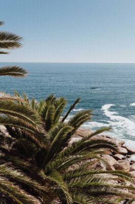 LAURA NENZ — Photography & Visual Storytelling