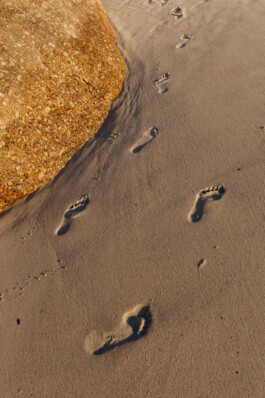 LAURA NENZ — Photography & Visual Storytelling